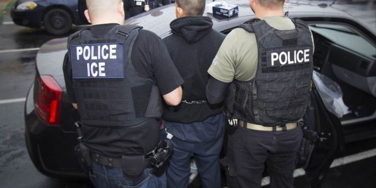 Multiple Migrants Arrested in 'Sanctuary States' for Attacking Women, Children, & Dogs