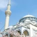 Japan Faces the Islamization Threat: Lessons from Sweden’s Decline (Video)