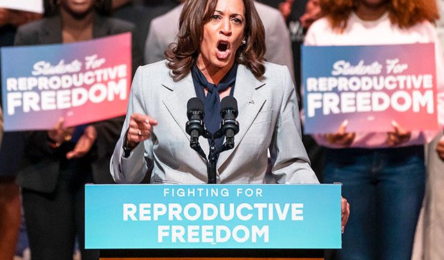 Poll: Most Voters Reject VP Kamala Harris for 2028 Presidential Election