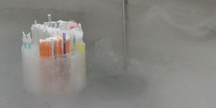 Massive Defense Bill Creates Sperm Freezing Program, Dumps Millions Into ‘Minority Serving’ Schools