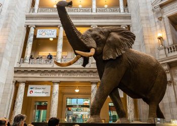 Smithsonian Museum