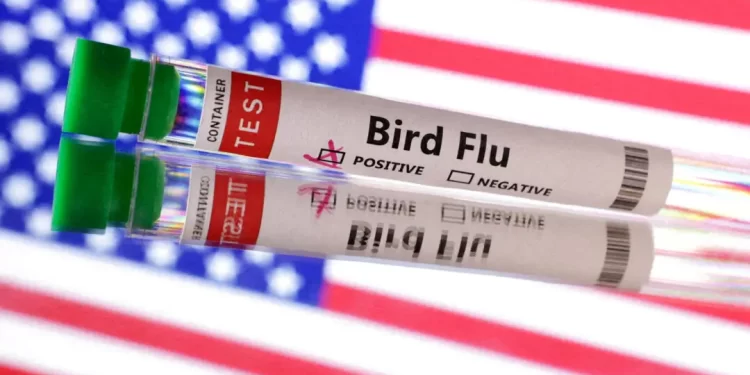 20 Big Cats Die in Bird Flu Outbreak at Washington Sanctuary