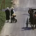 The Radicalization of Pennsylvania’s Amish