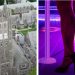 Princeton University offers courses on how to navigate the world of prostitution and 'erotic dance'