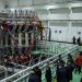 Communist China's 'Sputnik Moment': Do Not Let Communist China Dominate Nuclear Fusion's Clean Energy