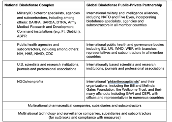 In Holland and Germany, Pandemic Response Was Biodefense, Not Public Health