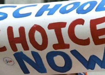 Is school choice a free market solution?