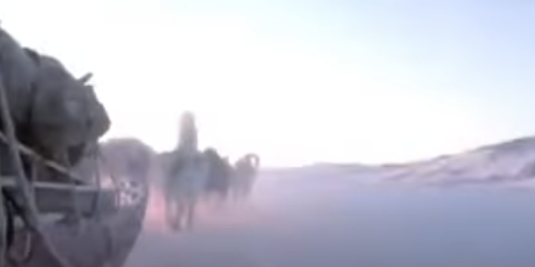 Denmark is Defending Greenland With Sled Dogs
