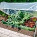 First Steps to Setting Up a Micro Homestead