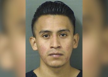 Guatemalan Illegal Arrested for Molesting 5-Year-Old Girl in Florida