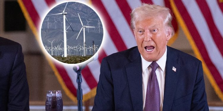 Trump Rails Against Green Agenda: ‘I Don’t Want One Windmill Built During My Administration’
