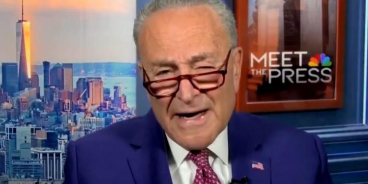 Chuck Schumer Gets Obliterated by Elon Musk and Conservatives After He Launches Tipline to Report Government “Abuses of Power” and “Threats to Public Safety”