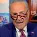 Chuck Schumer Gets Obliterated by Elon Musk and Conservatives After He Launches Tipline to Report Government “Abuses of Power” and “Threats to Public Safety”