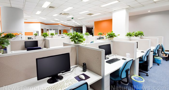 Trump administration considers selling two-thirds of underused government office space