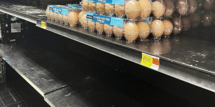 Egg Rationing