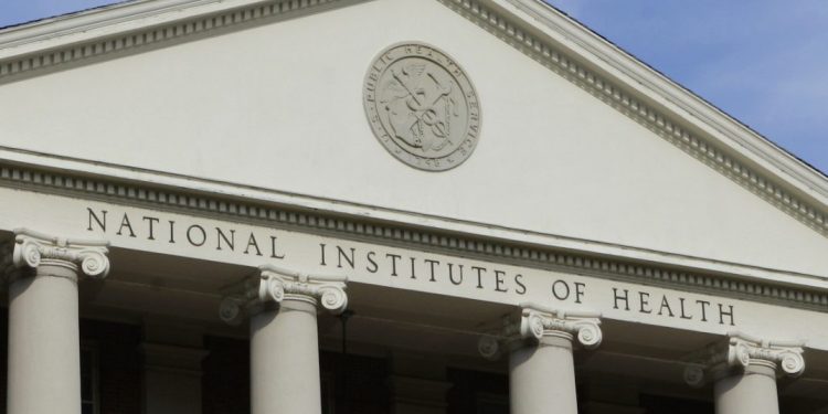 NIH Used Private Emails to Plot Deceptive Response to Protests of Cruel Experiments on Baby Monkeys