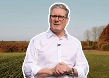UK seeks to slash domestic farms, risk food production by converting land to woodland, wild habitats