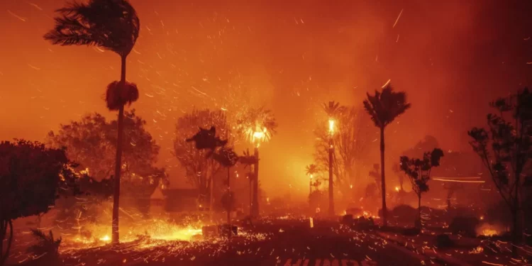 Company That May Have Started L.A. Fires Donated Millions to Dems