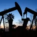 Energy Secretary’s 1st Order Reverses Drive for Net Zero Carbon Emissions