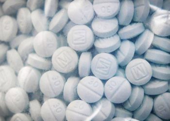 School safety activist arrested in massive fentanyl ring was in charge of millions of taxpayer dollars for youth nonprofit