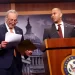 Democrats Will Introduce ‘Stop the Steal Act’ to Target Musk’s DOGE