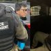 ICE Seattle arrests illegal immigrant Amazon delivery driver convicted of drug manufacturing, child sex abuser, and public safety threat