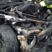 Of Course the Left's Planned Tesla 'Takedown' Protest Will End in Violence