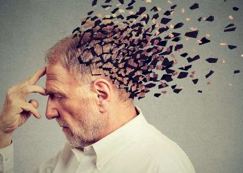 Brain