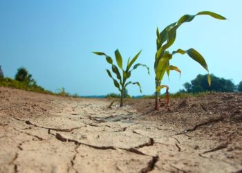 Mexico Faces Looming Deadline To Settle ‘Water Debt’ With America