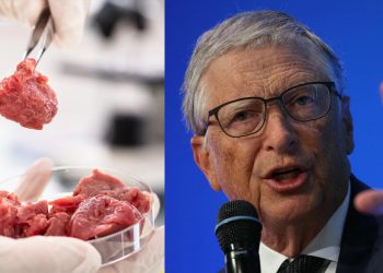 South Dakota Bans Tax Dollars Being Used for Fake ‘Meat’ Products