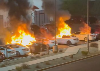 FBI’s new task force probing ‘Tesla Takedown’ anarchist blog, doxxing site as fiery attacks raise ‘domestic terrorism’ fears