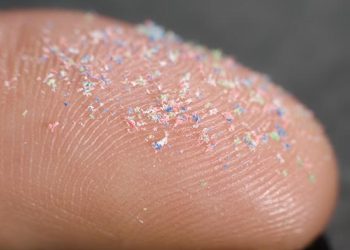 Microplastics in blood and organs linked to rising cancer risks, study warns
