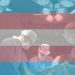 These are the hospitals still giving child sex changes despite Trump ban: report