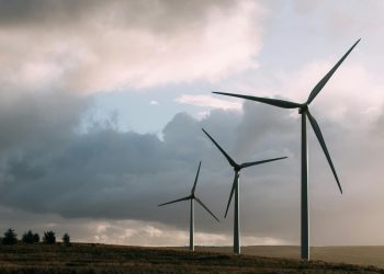 Net Zero Is A Big Fat Zero For Economic Growth