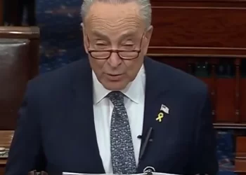 Who Can Replace Schumer?