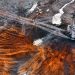 Rare Earths