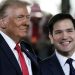 Trump Rubio