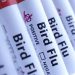 bird-flue-vaccine