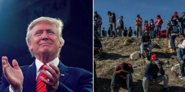 donald-trump-illegal-aliens