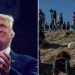 donald-trump-illegal-aliens