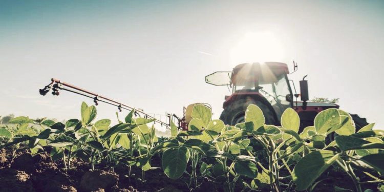 Agriculture