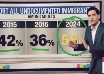 CNN Immigration