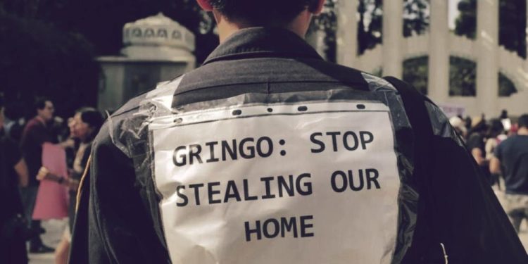 Gringo