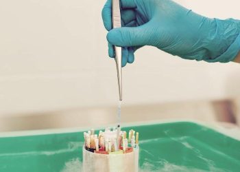 IVF