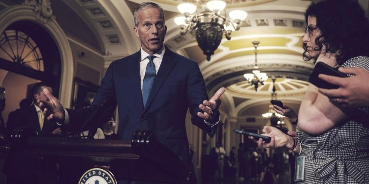 John Thune