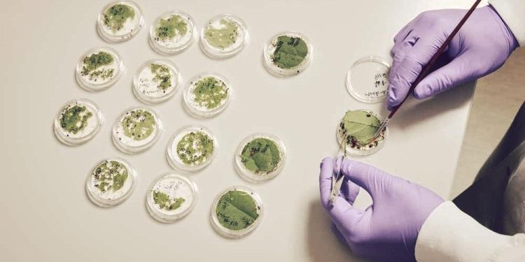 Terrana Biosciences