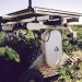 AI Farmers