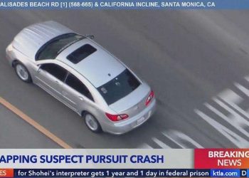 LA Crash