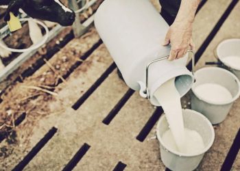 Raw Milk