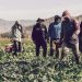 Illegal Alien Farm Workers